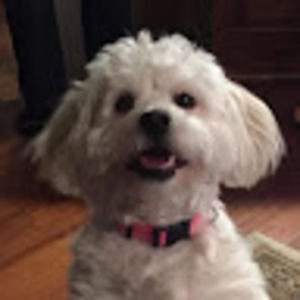 Meet your Posher, Hope